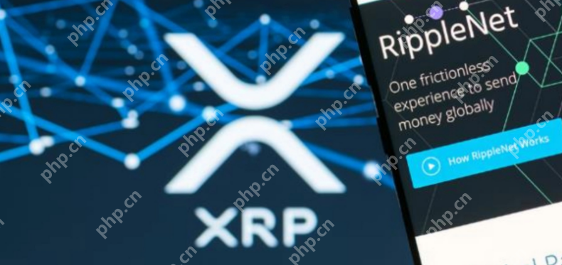 RAY币交易用哪一个平台 什么平台可以买RAY币 - php中文网